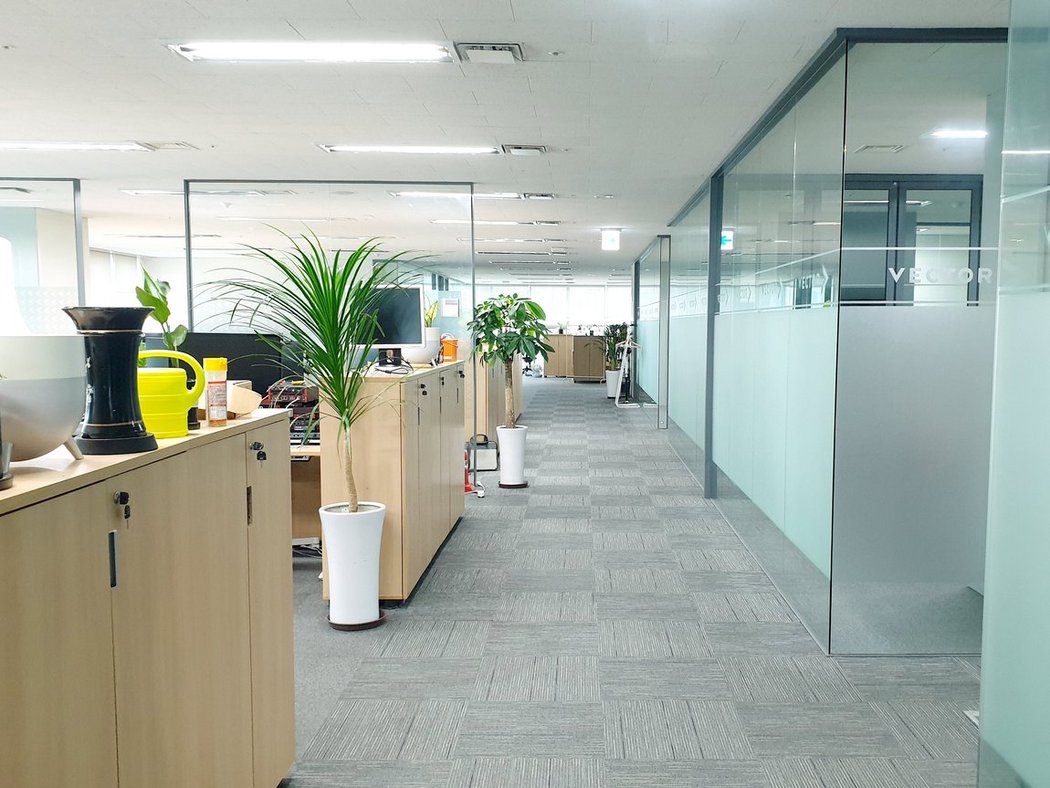 Vector Korea working area
