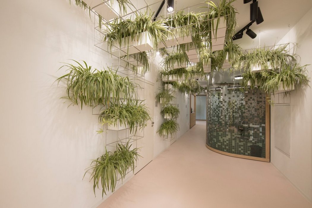 Hallway with many plants