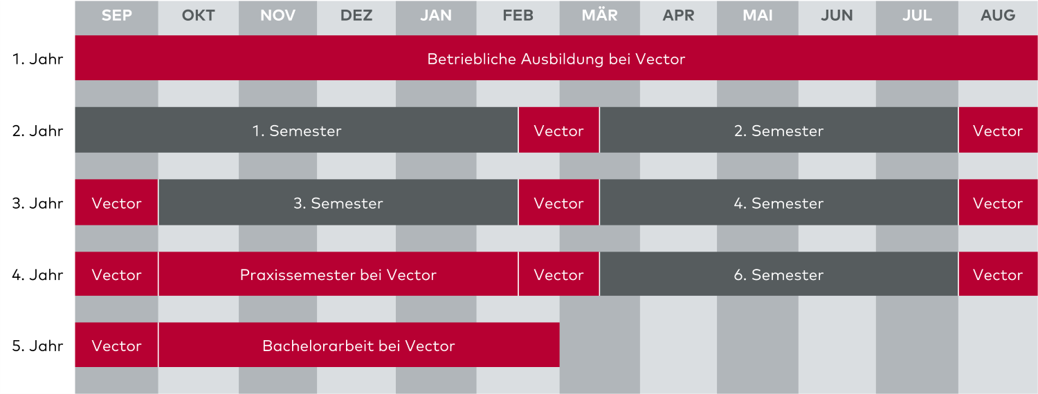 Grafik mit der Verteilung der Theorie- und Praxisphasen eines Verbundstudiums über die 5 Jahre.