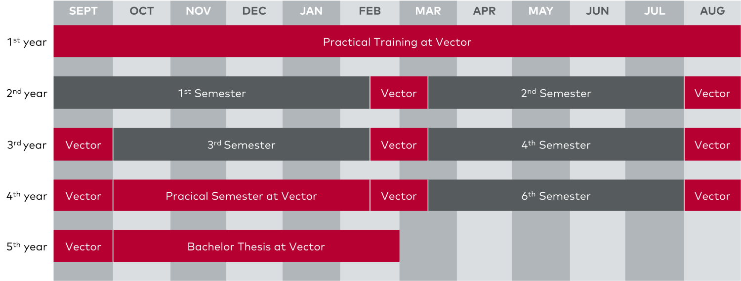 Diagram showing the distribution of theoretical and practical phases of the integrated study program over the 5 years.