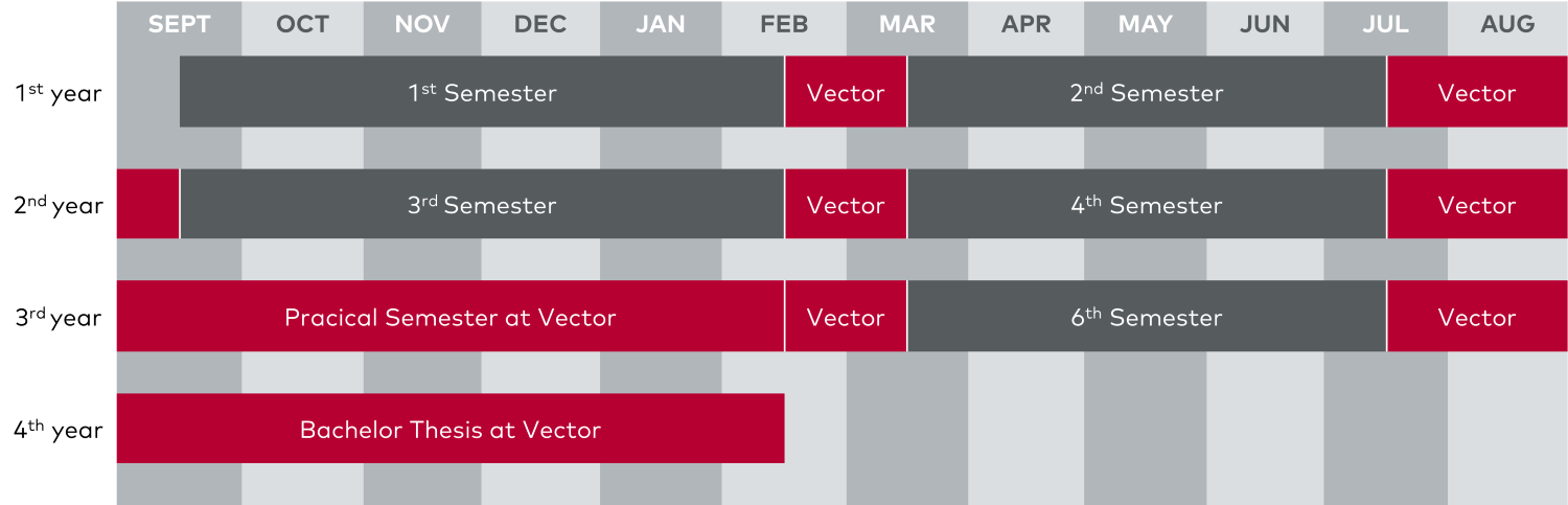 Diagram showing the distribution of the theoretical and practical phases of the study program over 4 years.