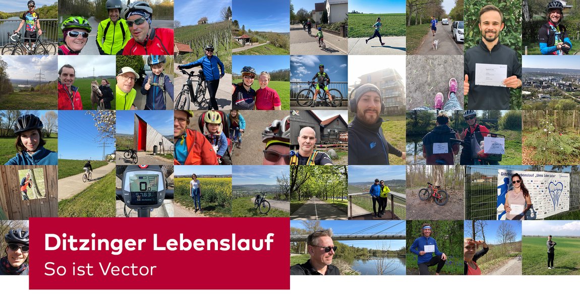 Mitarbeiterinnen und Mitarbeiter von Vector beim Ditzinger Lebenslauf